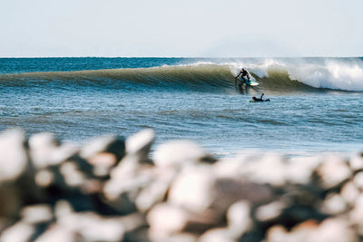 Surfer's Voice: Tyler Megarry