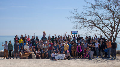 The Cove Beach Clean Up #15