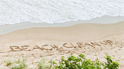 The Cove Beach Cleanup 2020