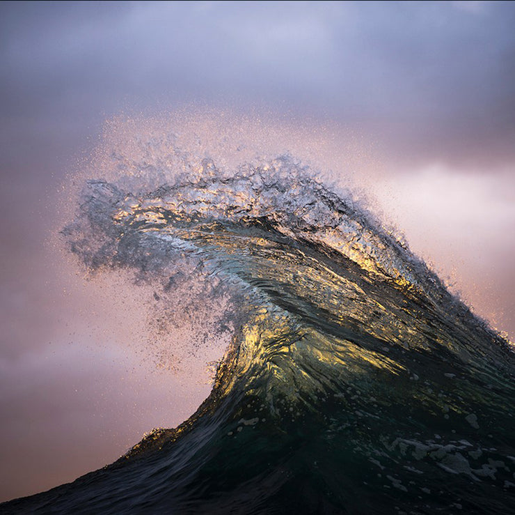 Water and Light - Ray Collins